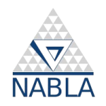 nabla_infotech_private_limited_logo-removebg-preview